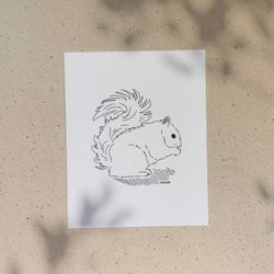 Écureuil / 5x7 ou 8x10po / Illustration imprimée sur carton recyclé / Icônes de MTL par Darvee / Art N+B Unisexe Minimaliste