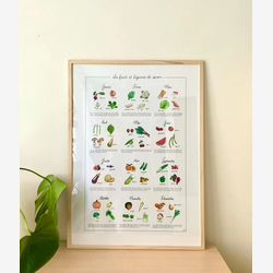 France - Affiche illustrée des Fruits et Légumes de saison (FRANCE)