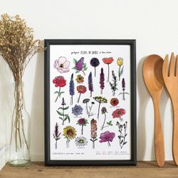 Affiche 11x14 - Fleurs du Québec et leur saison