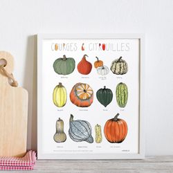 Affiche 11x14 - Courges & citrouilles