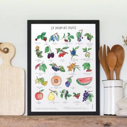 Affiche 11x14 - La saison des fruits