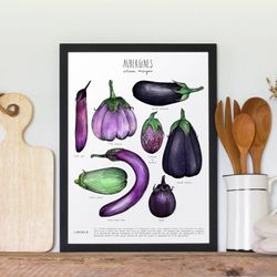 Affiche 11x14 - Aubergines