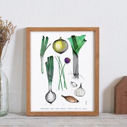 Affiche 11x14 - Liliacées