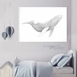 Belle Rosabelle - Affiche