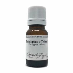 Eucalyptus Officinal - Huile essentielle