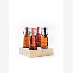 Coffret découverte - Érable